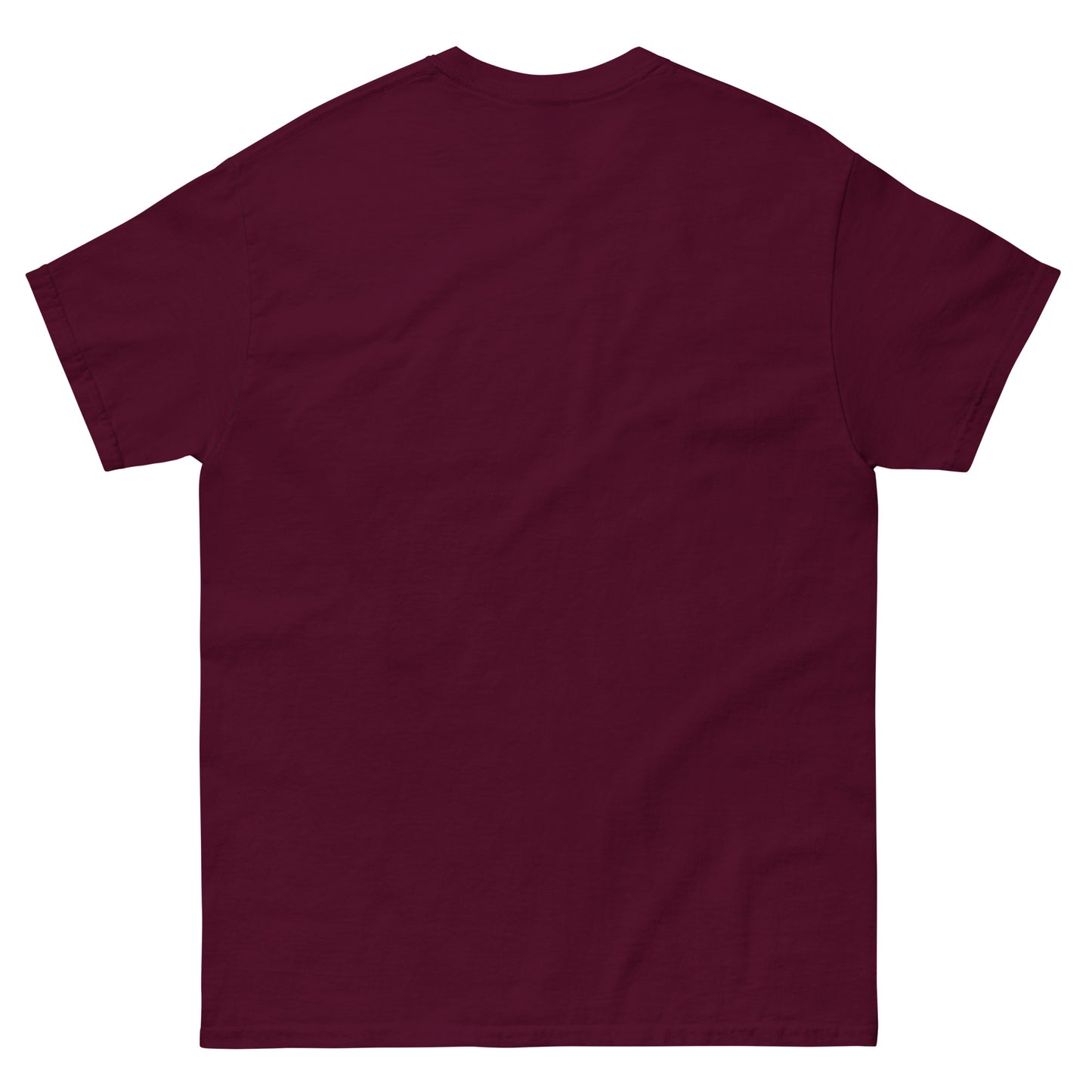 t-shirt with bold, distressed white text inside a box reading “TRUTH HURTS. LIES KILL. PROVERBS 14:12,” referencing a sobering Bible verse. Back Empty, Maroon