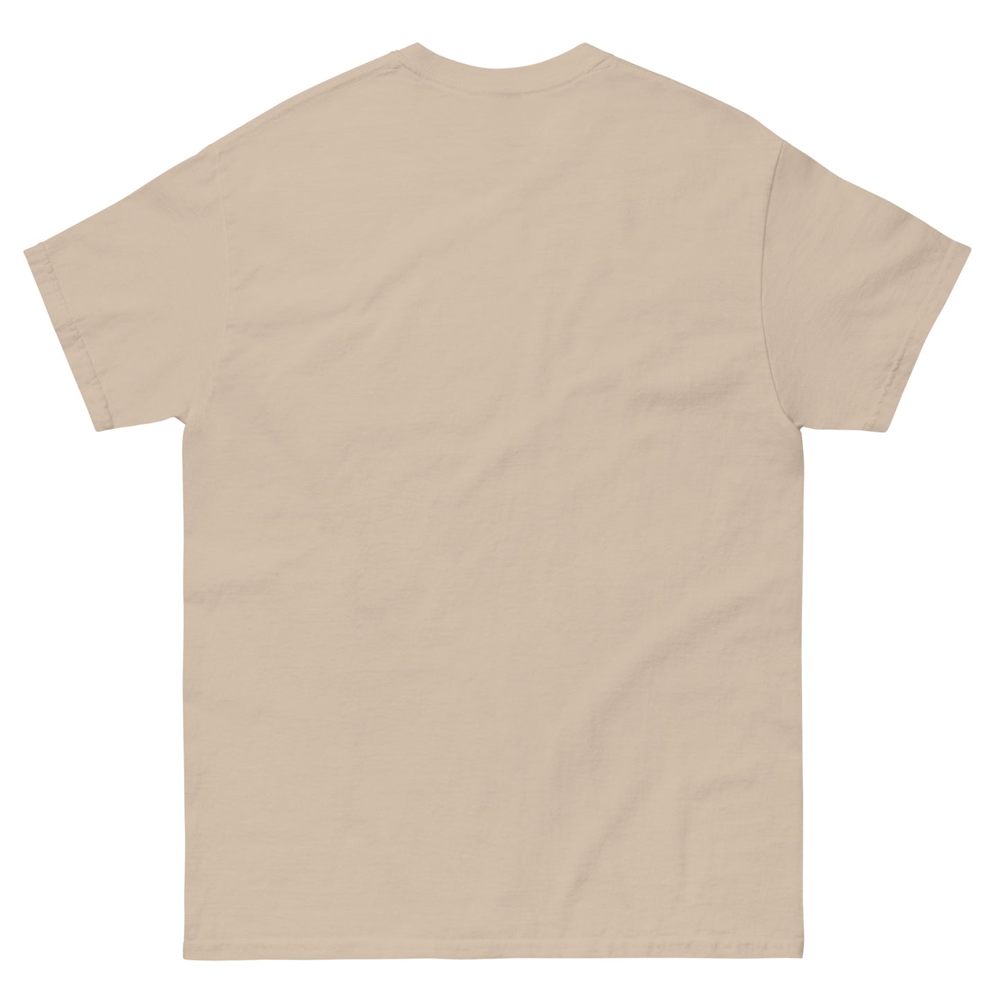t-shirt with bold black text reading “I’D RATHER OFFEND YOU THAN LOSE YOU” and a smaller quote from Galatians 1:10 below the main message. Empty Back, Sand Color