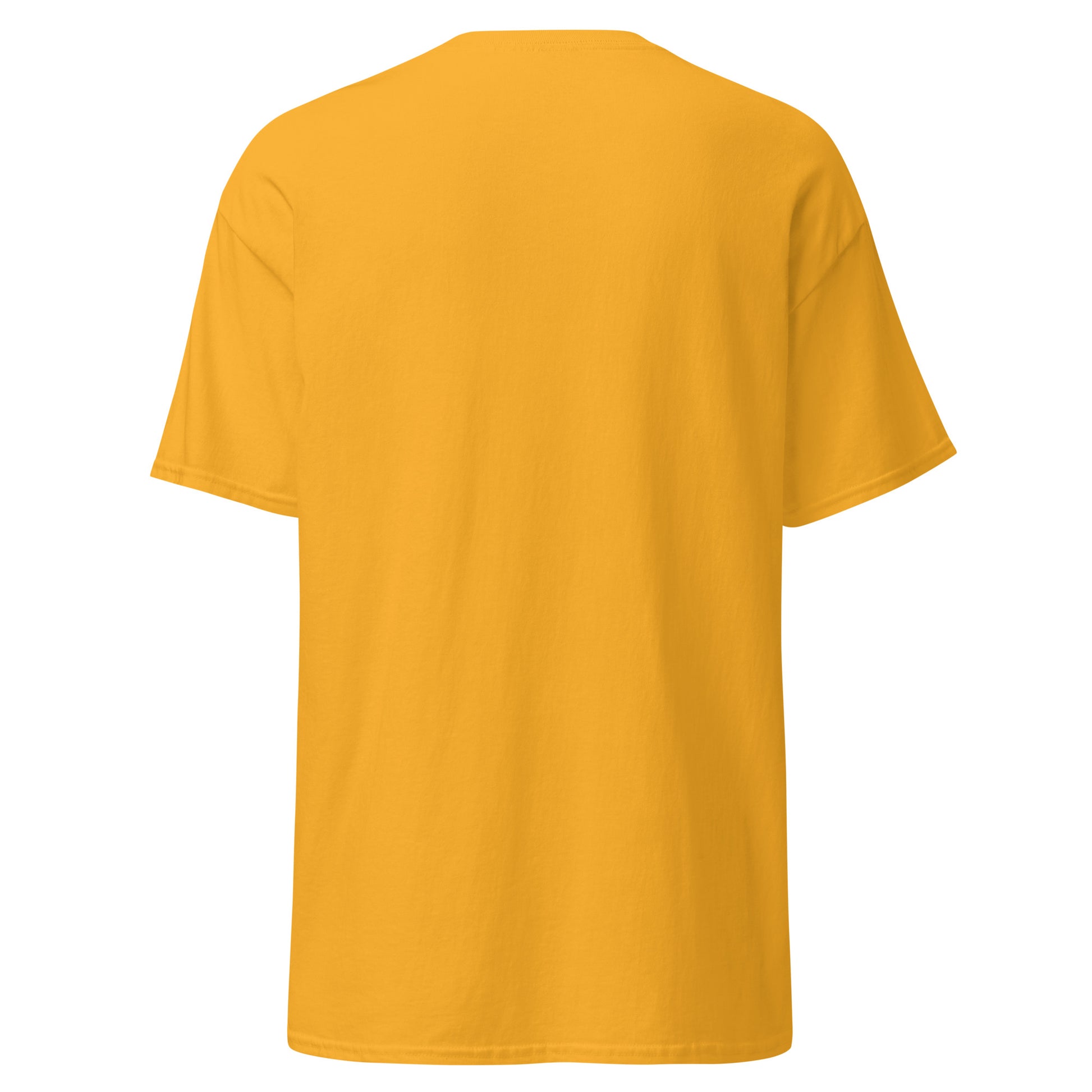 “Rising Sun Boho Women’s T-shirt” featuring Psalm 113:3, with a vintage sunrise and mountain design, symbolizing faith and praise, gold, back