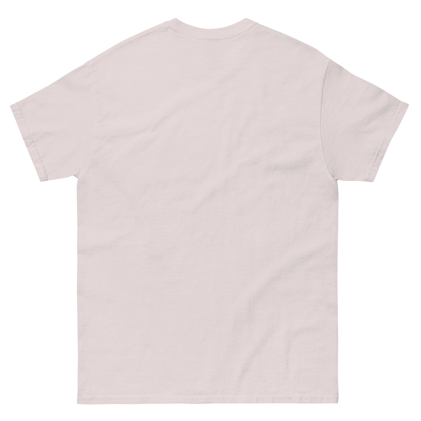 T-shirt featuring a desert landscape graphic with cacti, a sun rising behind a mountain, and the Bible verse “THE LORD WILL FIGHT FOR YOU – EXODUS 14:14” printed in bold brown lettering. Ice Gray, Empty Back