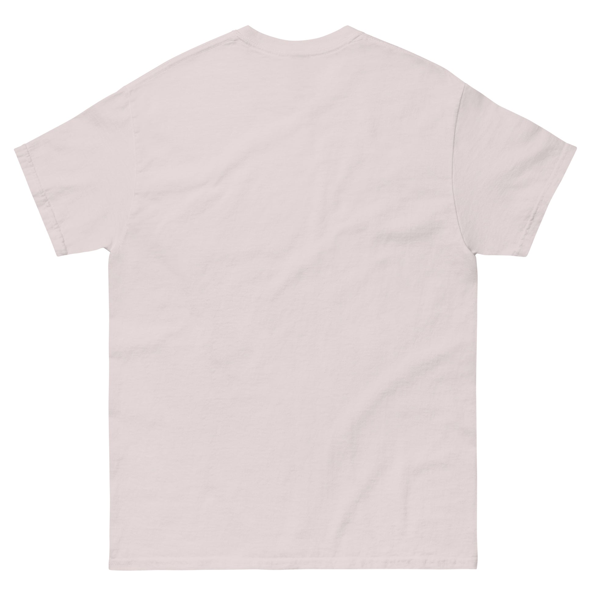 T-shirt featuring a desert landscape graphic with cacti, a sun rising behind a mountain, and the Bible verse “THE LORD WILL FIGHT FOR YOU – EXODUS 14:14” printed in bold brown lettering. Ice Gray, Empty Back